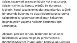 Zülfü Livaneli'nin Cumhurbaşkanı Erdoğan'a mektubu